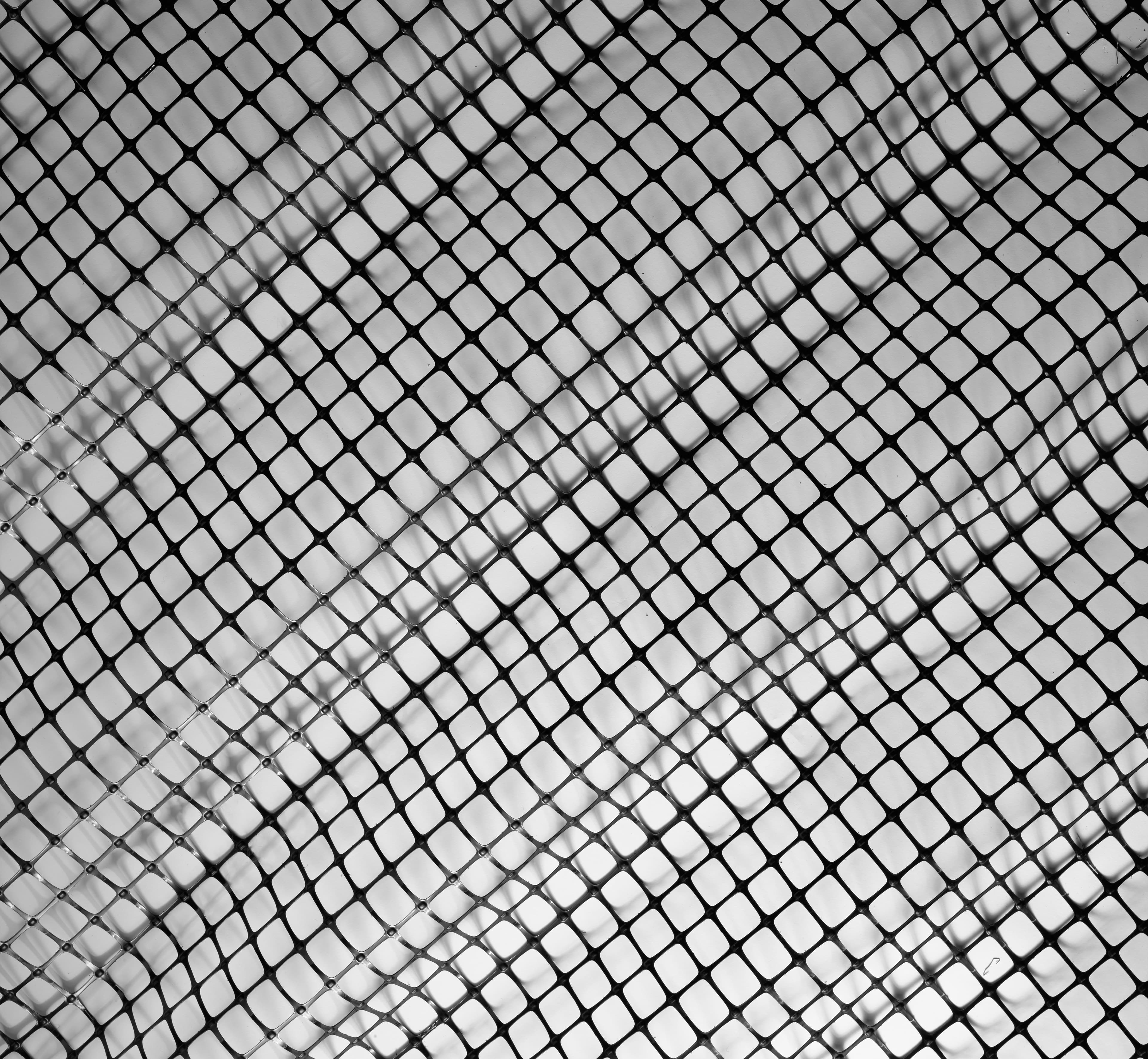 image-banner