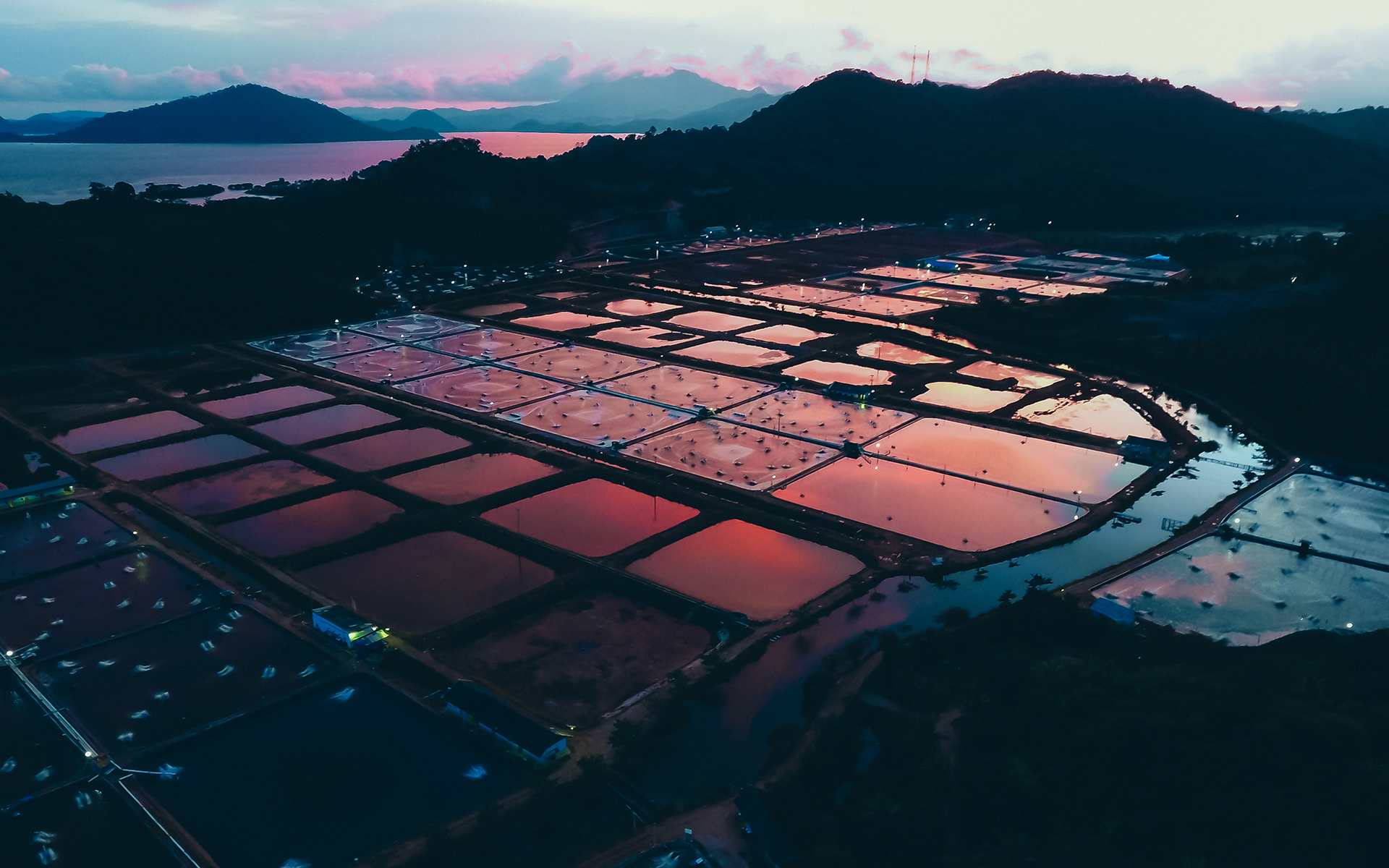 Aerial view of aquaculture ponds reflecting a colorful sunset, set against a mountainous backdrop.